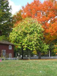 'Last Frontier' Lecture Highlights Upcoming Shelton History Center Meeting