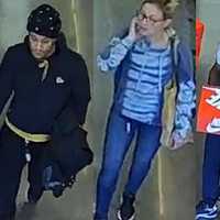 <p>A group of eight adults stole more than $1,000 worth of shoes from a Chester County store this week, authorities say.</p>