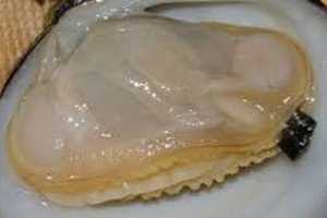X-Planations: Rockland's Peter X. Kelly Shares Clam Recipe For July Fourth