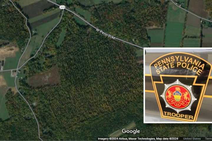 Stolen Car Found Crashed In Schuylkill County: State Police