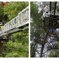 <p>Scene from the skydiver rescue in Perkasie on July 20.</p>