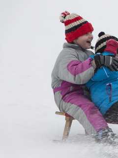 Melt A Snowman, Take Apart Circuits And More In Edgewater Winter Program