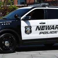 UPDATE: Three Charged With Beating Dog To Death In Newark