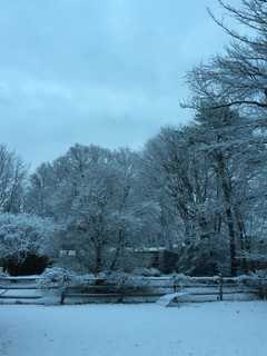 Overnight Snow Melts Quickly Across Stamford