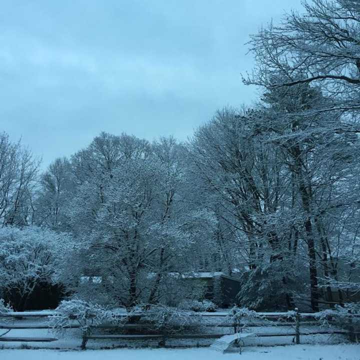 Residents of Stamford woke up Monday to a covering of light snow.