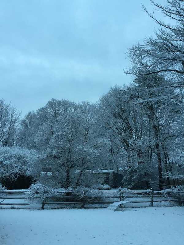 Overnight Snow Melts Quickly Across Stamford