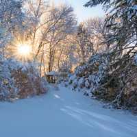 How Much Snow Did You Get? A Look At Totals From The Area