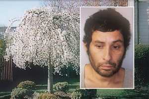 Bergenfield PD: Name On Work Van Foils Painter Who Swiped Tree, Other Items In Theft Spree