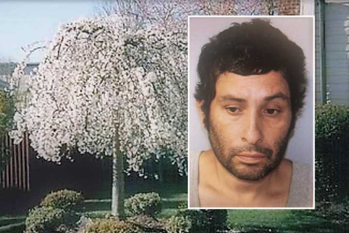 Bergenfield PD: Name On Work Van Foils Painter Who Swiped Tree, Other Items In Theft Spree