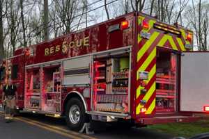 Driver Killed After Car Overturns In Solebury