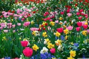 Flower Arranging Workshop Offered At Darien Community Association