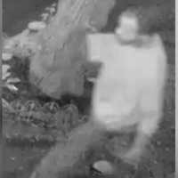 <p>The suspect in the June 24 jewelry burglary</p>