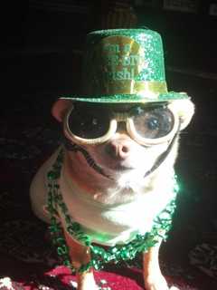 Americans Spend A Lot Of Green On St. Patrick's Day