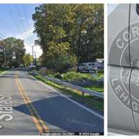 PA Driver Killed After Crashing Into Tree: Coroner