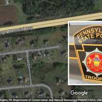 Dog Shot With BB Gun In Berks County: PSP