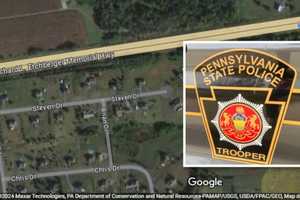 Dog Shot With BB Gun In Berks County: PSP