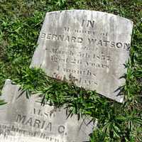 <p>50 or so headstones, some more than 100 years old, were toppled in a Wyckoff cemetery.</p>