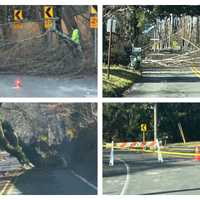 Storm Downs Trees, Closes Roads Across Southeastern PA