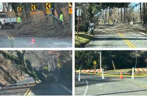 Storm Downs Trees, Closes Roads Across Southeastern PA