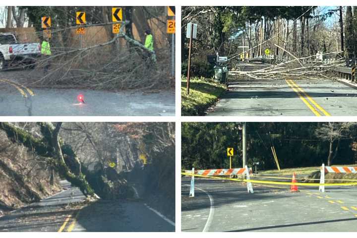 Storm Downs Trees, Closes Roads Across Montgomery County