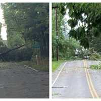 <p>Downed trees on roads in Lower Saucon, Northampton County on Aug. 8, 2023</p>