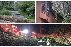 Storm Left Trail Of Destruction Across PA (PHOTOS)