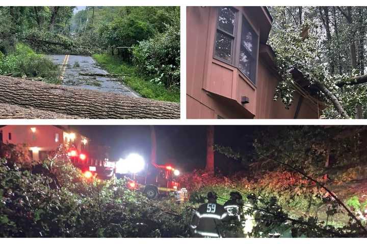 Storm Left Trail Of Destruction Across PA (PHOTOS)