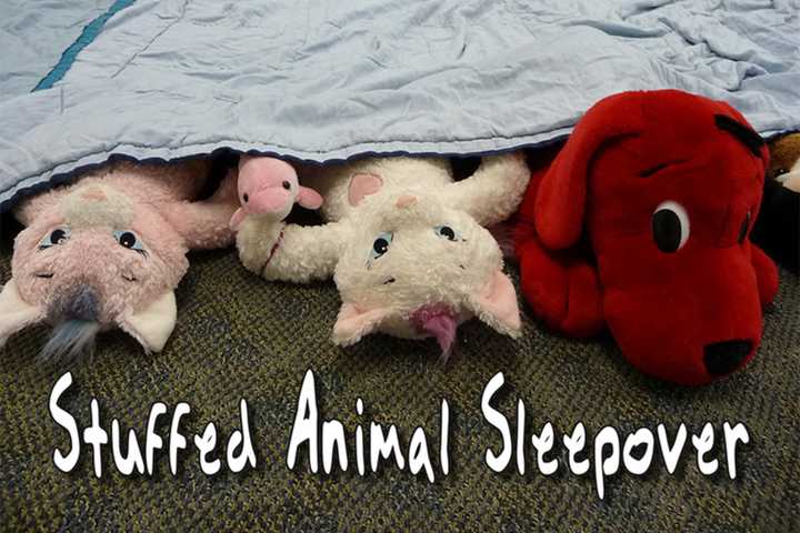 Kids, Bring Your Stuffed Animal To East Rutherford Library For Sleepover 