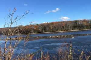 Crew To Use Custom Boat To Sever, Remove Stumps From West Milford Lake