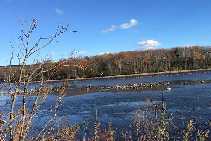 Crew To Use Custom Boat To Sever, Remove Stumps From West Milford Lake