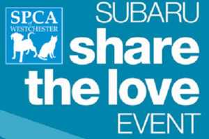 Pleasantville Subaru Supports SPCA Of Westchester