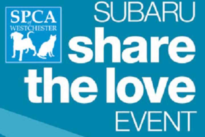Pleasantville Subaru Supports SPCA Of Westchester