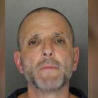Bucks County Man 'Degloved' Cat's Chin, Faces Animal Cruelty Charge: Lancaster DA