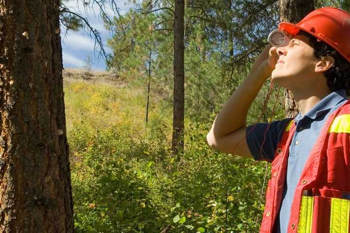 Learn Tips On Keeping Trees Healthy at Teaneck Creek Walk