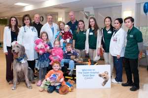 Valley Hospital Welcomes Stuffed Friends At Teddy Bear Clinic