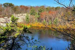 Wawayanda State Park Expanded With ‘Small But Critical’ Land Purchase