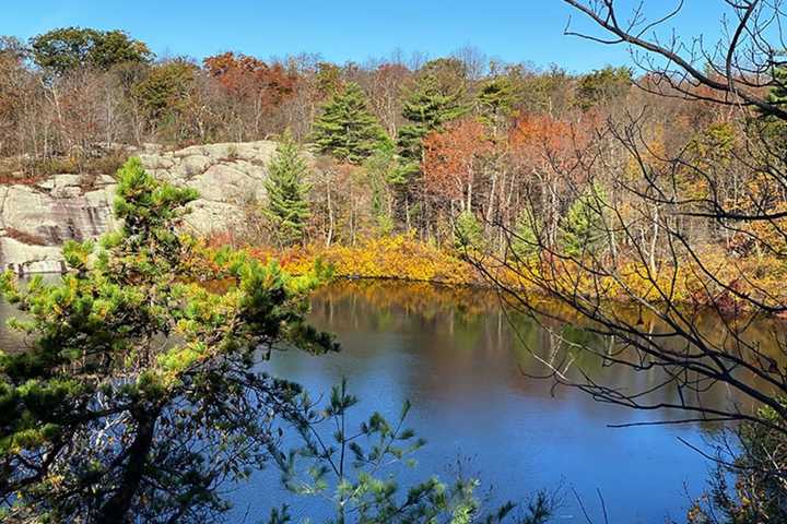 Wawayanda State Park Expanded With ‘Small But Critical’ Land Purchase