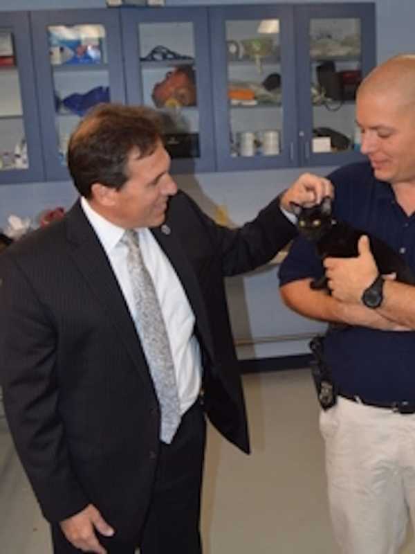 Yonkers Police Officer Adopts Abandoned Kitten In Animal Cruelty Case