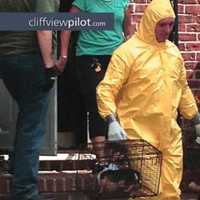 <p>Officials rescue more than 80 animals — dead and alive — from a Westwood home in August.</p>