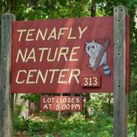 New Butterfly, Pollinator Garden To Be Installed At Tenafly Nature Center