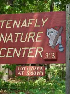 New Butterfly, Pollinator Garden To Be Installed At Tenafly Nature Center