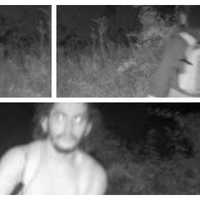 <p>Danelo Cavalcante in the area of Longwood Gardens on trail camera footage late on Monday, Sept. 4.</p>