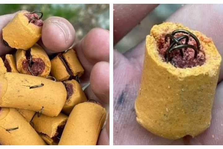 Fish Hooks Found In Dog Treats On Appalachian Trail In PA