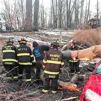 <p>Crews prepare to remove the tree from the vehicle.</p>