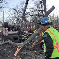 <p>Crews work to remove the tree.</p>