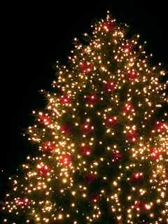 Darien Sport Shop Kicks Off Christmas Season With Annual Tree Lighting