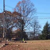 Trees Cut Down For Road Project, Monroe Fire Department Reports