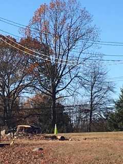 Trees Cut Down For Road Project, Monroe Fire Department Reports