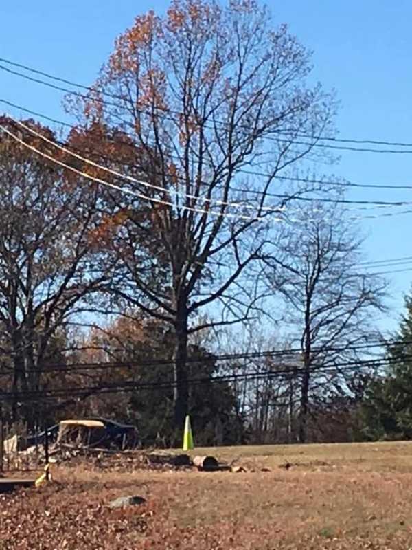 Trees Cut Down For Road Project, Monroe Fire Department Reports