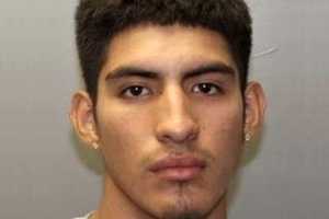 Park Ridge PD: Employee Finds Burglar From Bergenfield In Borough Business